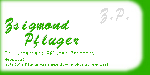 zsigmond pfluger business card